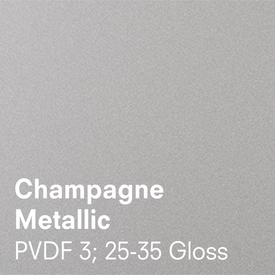 Champagne Metallic (3.5 x 5.5)